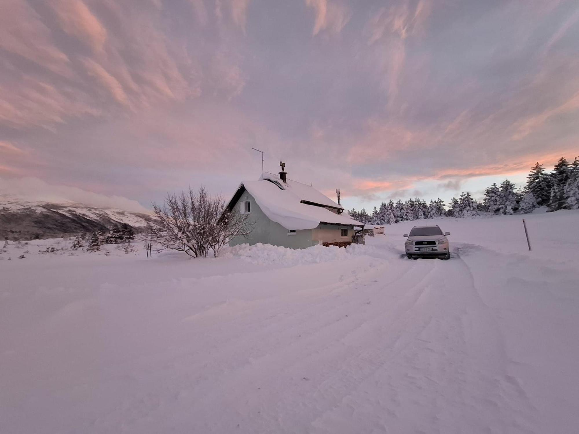 Green Cottage Blidinje Eksteriør billede